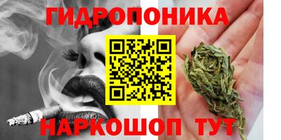 соль ск Обнинск